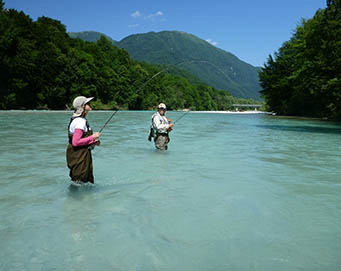 Fly fishing Soča Slovenia