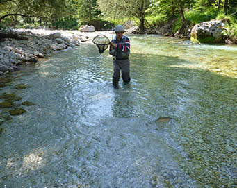 Fly fishing Soča Slovenia