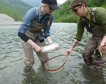 Fly fishing Soča Slovenia