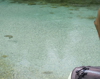 Fly fishing Soča Slovenia