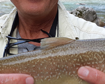 Fly fishing Soča Slovenia